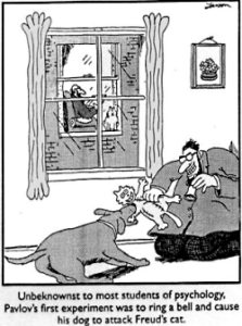 Positive Reinforcement – FitHound Positive Reinforcement – FitHound