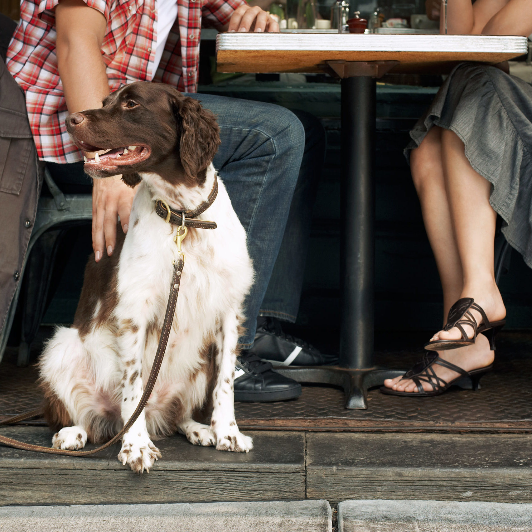 Low section of a couple sitting with dog at restaurant Dog and Owners Sitting at Sidewalk Cafe